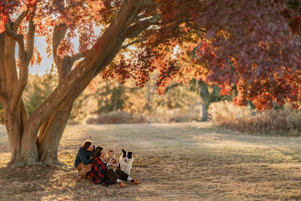 Family with toddler and dog sitting beneath a red tree
