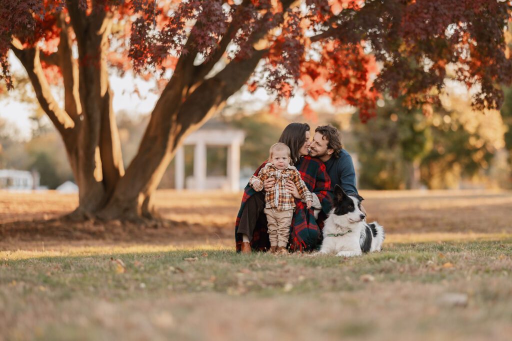 Fall family photo of parents kissing beneath a red tree